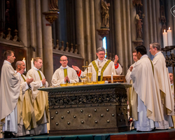 Priesterweihe im Kölner Dom: Die Neupriester mit dem Kardinal am Altar (Foto: Vera Drewke).