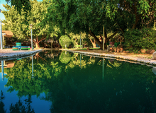 Der Pool im Garten von Tabgha - gespeist aus den Quellen.